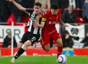 开云在线直播-德国碾压利物浦，费兰·托雷斯打破历史纪录的简单介绍