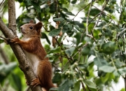 开云体育下载-迪亚斯之夜，当世界屏息，他成为F1年度争冠的终极变量