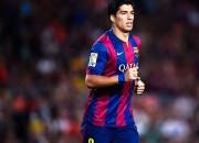 开云体育在线-横扫瑞典，波尔惊艳四座—中国队的胜利与对手的光芒