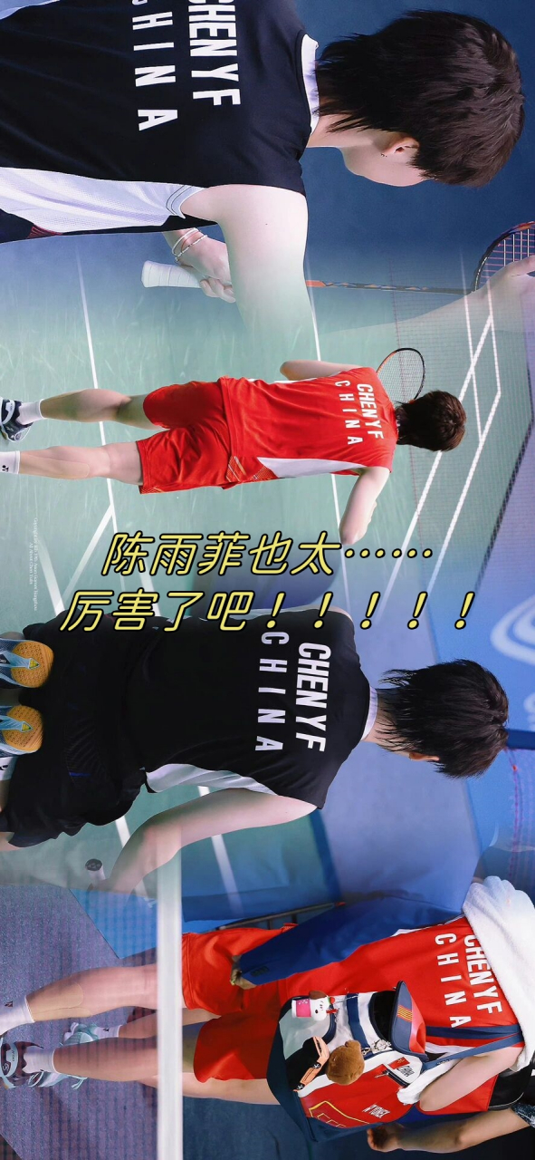 丹麦队翻盘泰国队，陈雨菲关键制胜的简单介绍