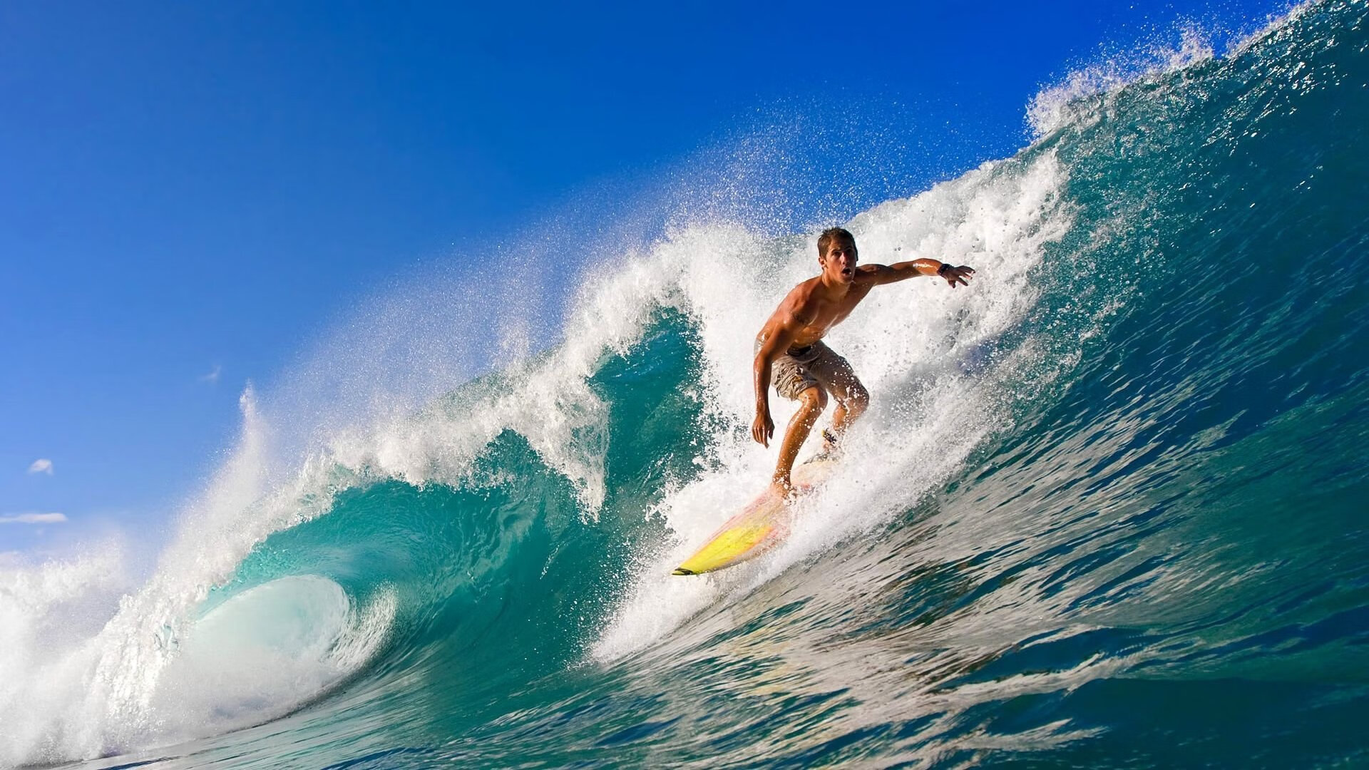 鹰击长空,北境之王,当老鹰提前终结悬念,伦纳德生死战接管比赛